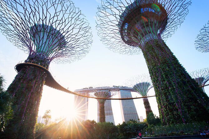 2-4 days in Singapore Guided Tour Pass - Day 1: Chinatown detective game, Jewel Changi, and Lau Pa Sat night bites