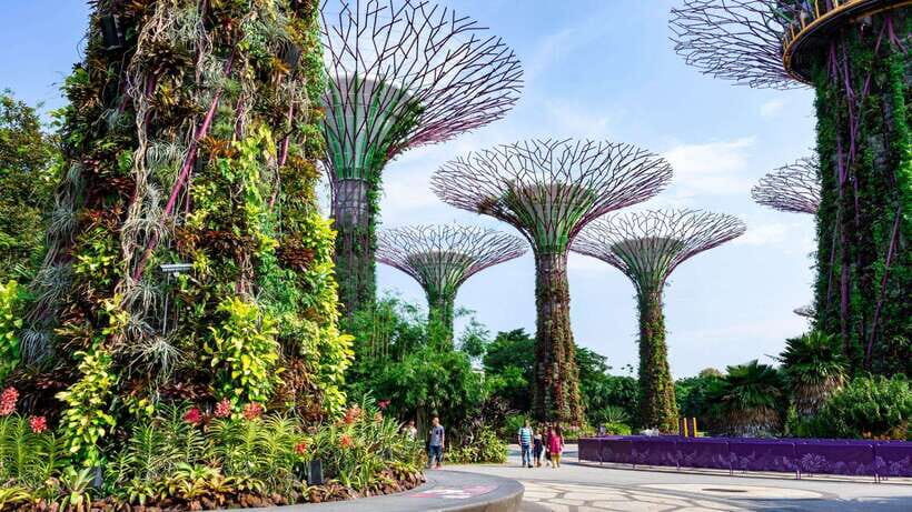 Best of Singapore: Private Walking Tour with a Local - Where you meet: Marina Bay Sands as a smart starting point
