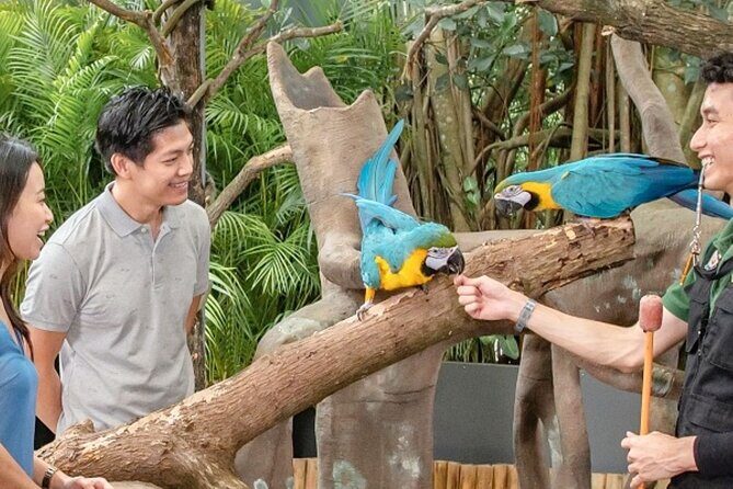 Breakfast In the Wild at Singapore Zoo Promo - Breakfast In the Wild at Singapore Zoo: the value behind the price