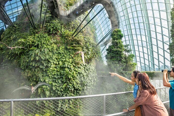 Garden by the Bay Singapore combo - Supertree Observatory: 50 meters up for 360° views