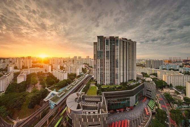 Gardens by the Bay Guided Tour - What you’re paying for: value beyond the headline price