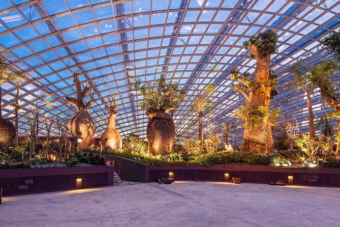 Gardens by the Bay with 2 Flower Dome + Marina Bay Sands Skypark - Marina Bay Sands SkyPark: skyline time before 4pm