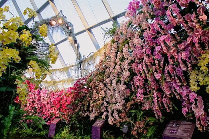 Jewel Changi Airport Canopy Park Tickets - Tickets and entry: e-tickets plus photo ID