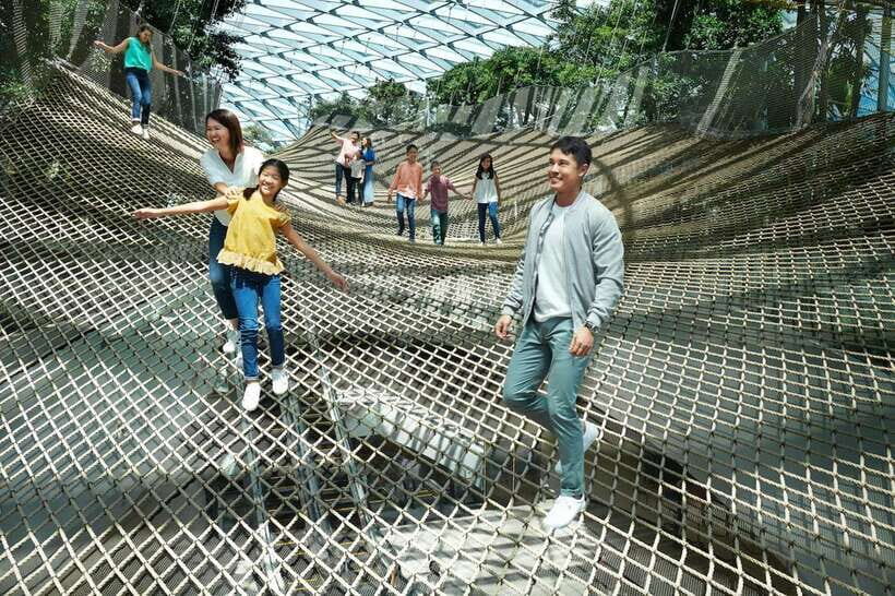 Jewel Changi Airport: Sky Nets Admission Ticket - Ticket Basics: what the $12 admission actually covers