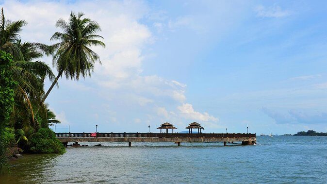Mangrove Kayaking Adventure in Singapore - Key things to know before you go