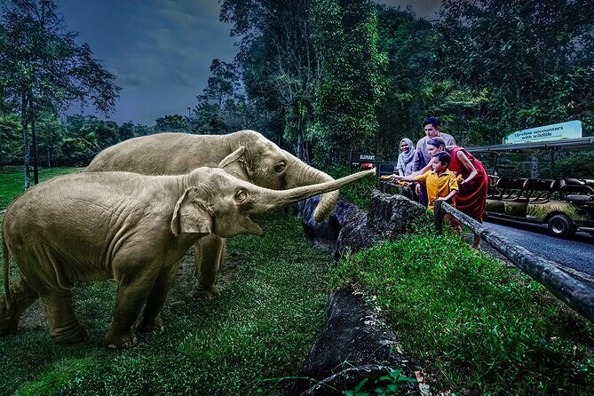 Night Safari Singapore Skip the Line Tickets with Tram Ride - Key Highlights to Know Before You Go