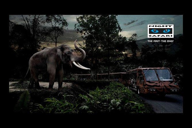 Night Safari Tour with Transfer - Night Safari pickup at 6:00 pm: how the transfer affects your evening