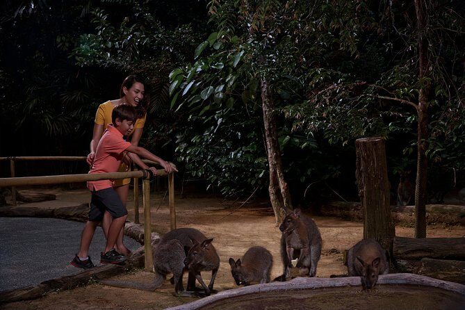 Night Safari Tour with Transfer - Ulu Ulu Safari Restaurant dinner upgrade: good for convenience, not a full free-for-all