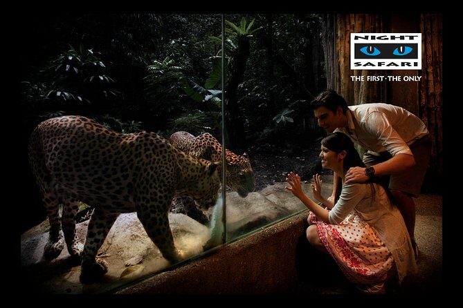Night Safari Tour with Transfer - Price and value: is $101.40 fair for what you get?