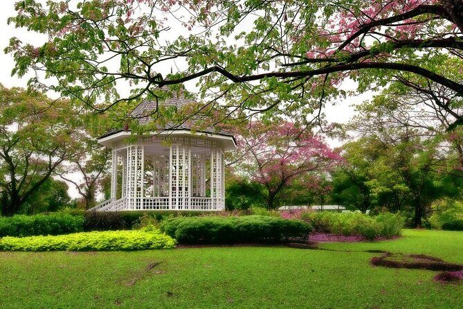 Private Half Day Singapore City Tour with Botanical Orchid Garden - Key highlights worth planning around