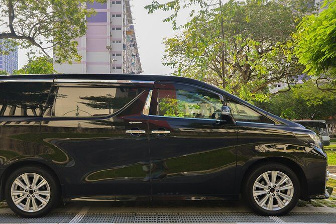 Private Mini Van From Singapore Airport To Hotel In City - Luggage, Waiting Time, and Timing: The Real Logistics