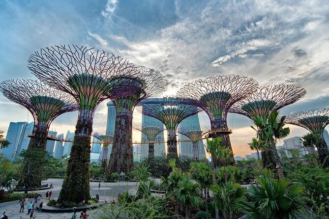 Private Singapore Night Tour with Gardens by the Bay&River Cruise - Stop 2: Cloud Forest and the Misty Mountain Experience