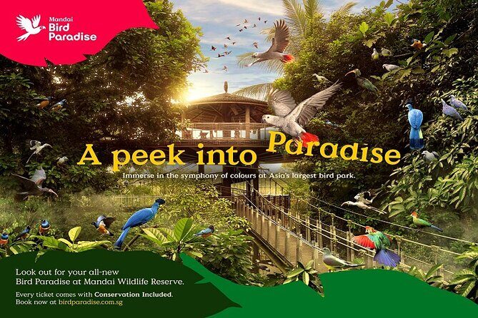 Singapore: Bird Paradise Entry Ticket - Close encounters: feeding sessions and daytime shows