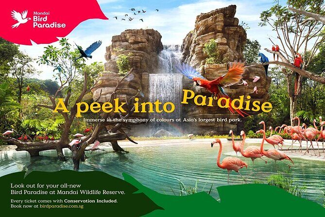 Singapore: Bird Paradise Entry Ticket - Panorail views and getting around without burning out