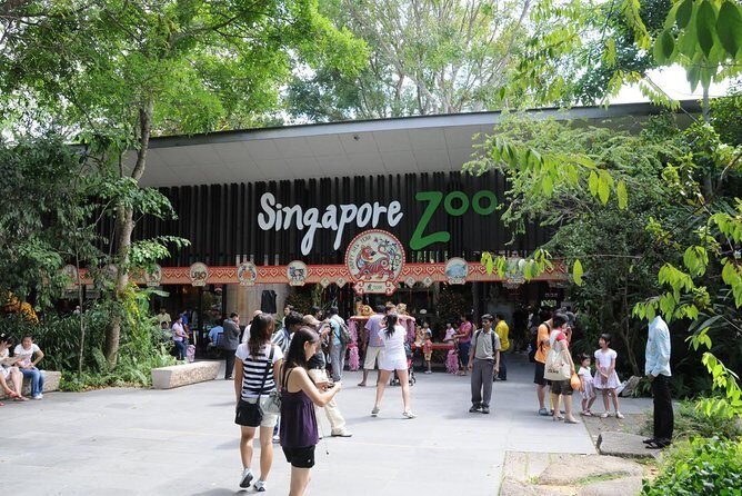 Singapore Bird Paradise & Zoo Full Day (Ticket & Transfer ) - Jurong Bird Park / Bird Paradise: walk-through aviaries and big bird energy