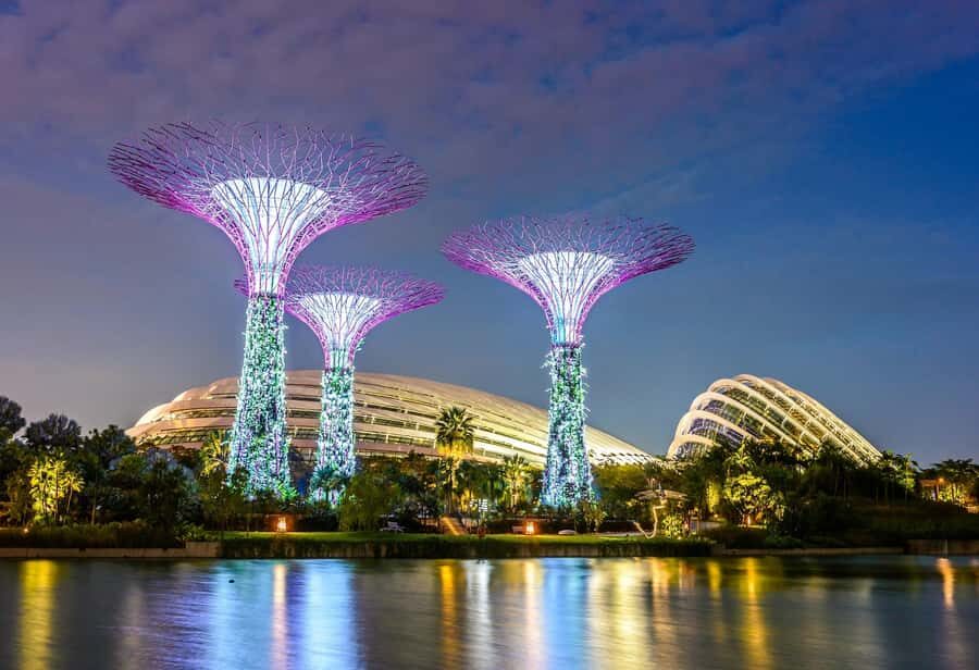 Singapore: Disney Garden of Wonder at Floral Fantasy - Key things to know before you go