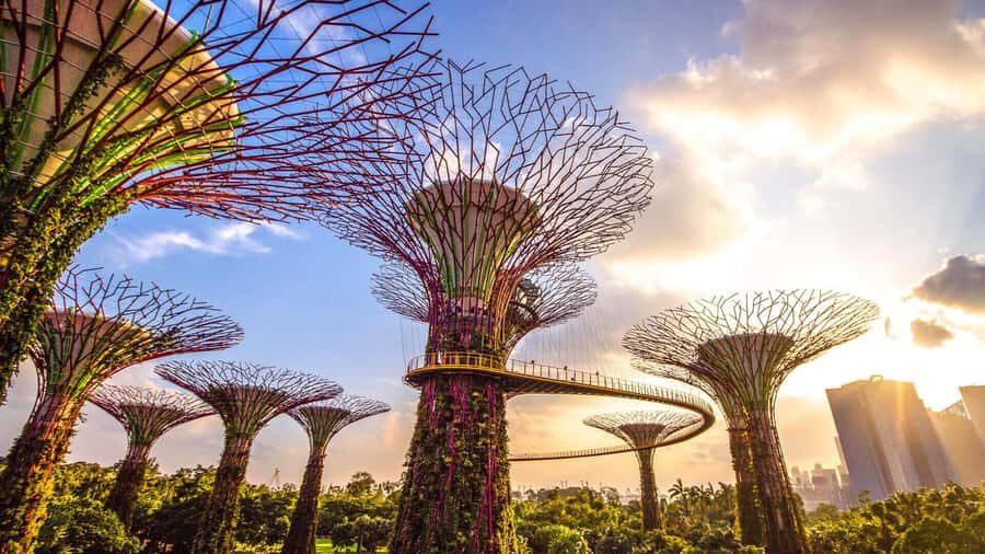 Singapore: Disney Garden of Wonder at Floral Fantasy - Who this experience suits best (and who might swap plans)