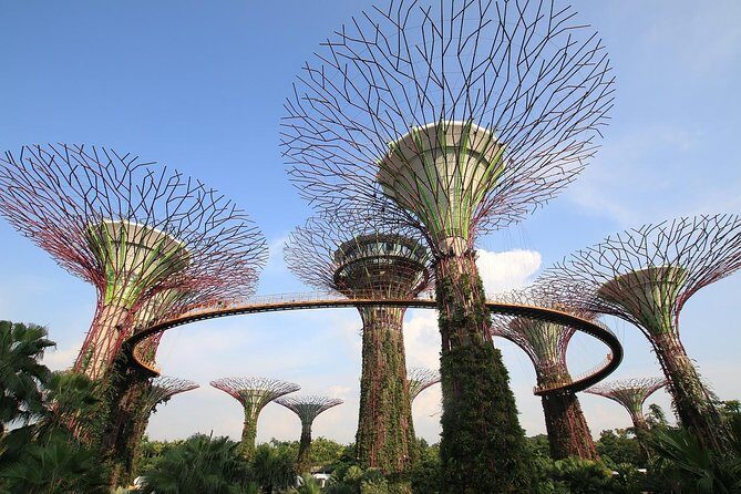 Singapore: Gardens by the Bay Admission E-Ticket - Flower Dome: Your Climate-Controlled Start in Singapore