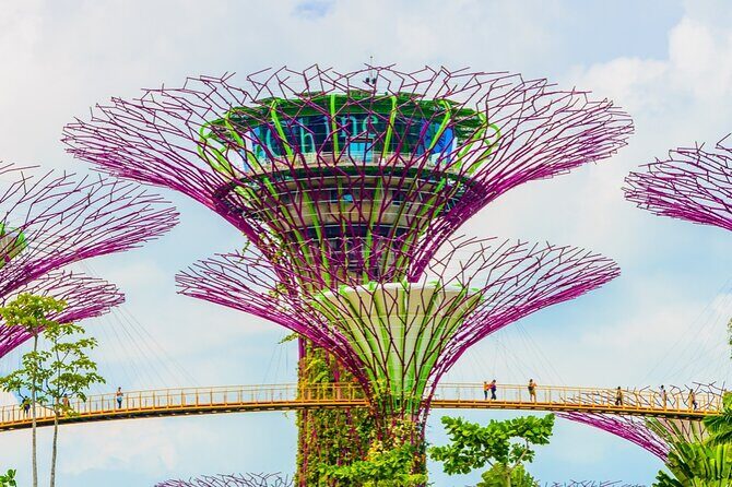 Singapore Gardens by the Bay Admission Skip-The-Line E-Ticket - Cloud Forest: Mist, Indoor Waterfall, and a Very Singapore Kind of Cool