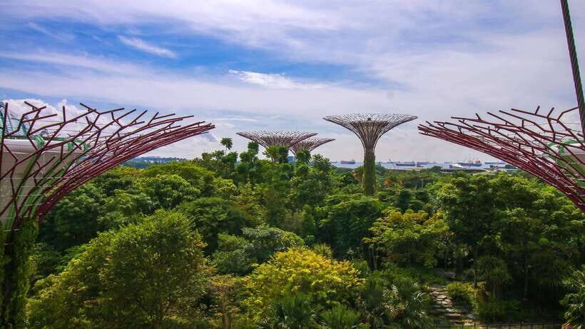 Singapore: Gardens by the Bay Bundle Entry Ticket - Flower Dome’s Glass Greenhouse World Tour