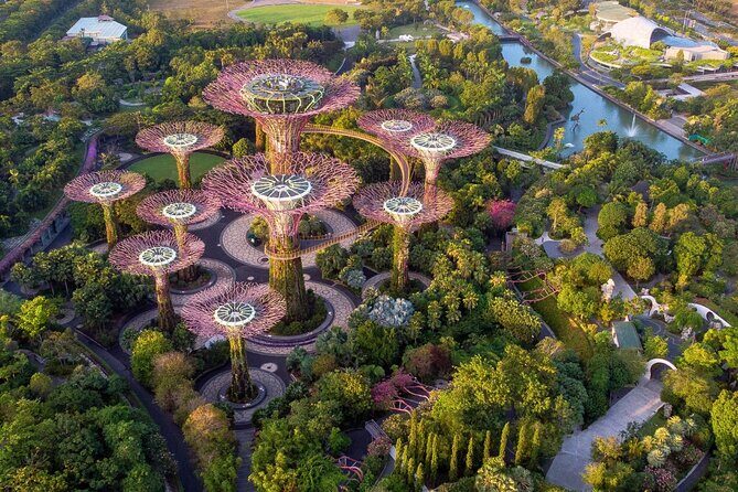 Singapore Gardens by the Bay & Jurassic World with Hotel Pick up - Flower Dome: cool-dry plants and a changing flower field