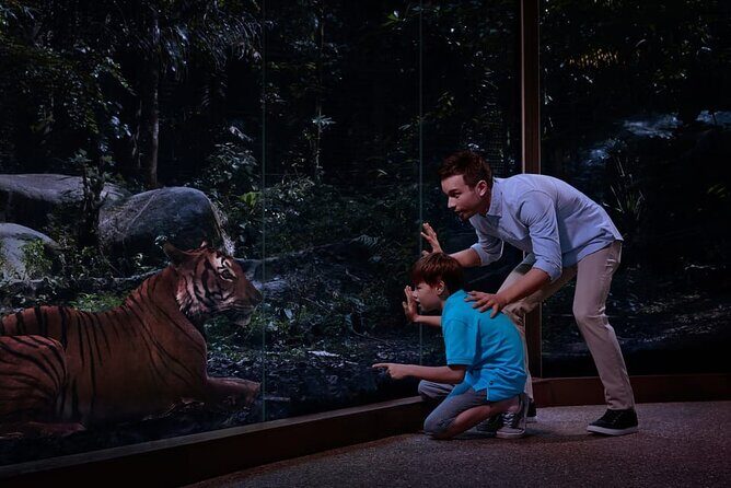 Singapore Night Safari Ticket Experience - Timing tricks for a smooth night (7.15pm–11pm)