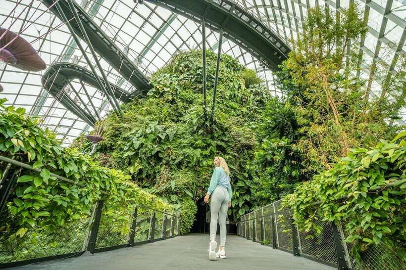 Singapore Photography: Marina Bay Sands & Gardens by the Bay - Price and value: $284 per group up to 10 people