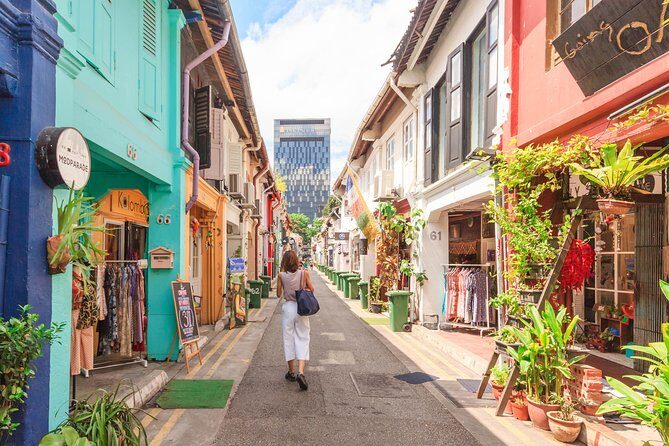 Singapore Private Custom Full-Day Tour with Licensed Local Guide - Chinatown’s temples, medicine halls, and clan house stories