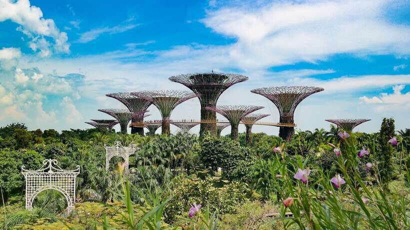 Singapore: Private Flexible Tour with a Licensed Local Guide - Building your day: a 2 to 8 hour flexible walking tour