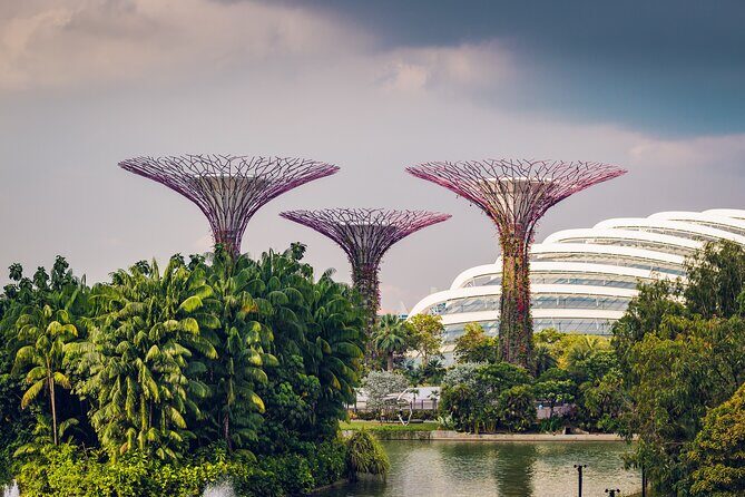 Singapore Private Professional Photoshoot at Gardens by the Bay - Gardens by the Bay photoshoot: why this spot works