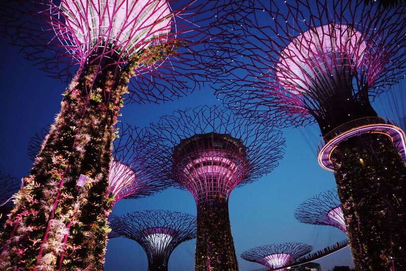 Singapore: Private Tour with a Driver - Comfort and Control: The Setup (Pickup, Private Car, Group Style)