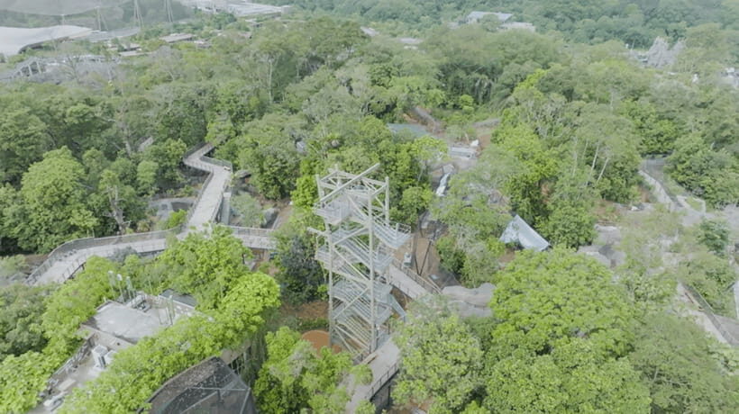 Singapore: Rainforest Wild Asia Entry Ticket - FAQ