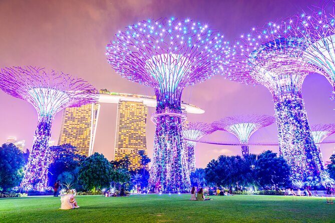 Singapore River Cruise, Night Garden Rhapsody & Spectra by CYT - Quick highlights worth knowing
