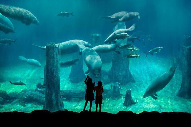 Singapore: River Wonders Entry Ticket - The Amazon River Quest and other timing traps