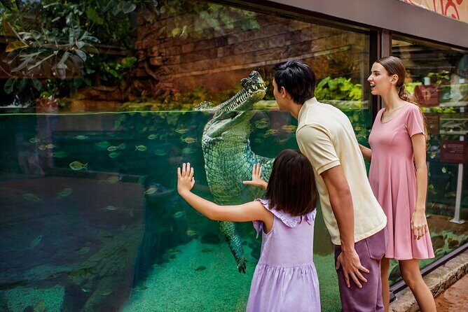 Singapore: River Wonders Entry Ticket - Navigation, practical tips, and logistics that can save your day