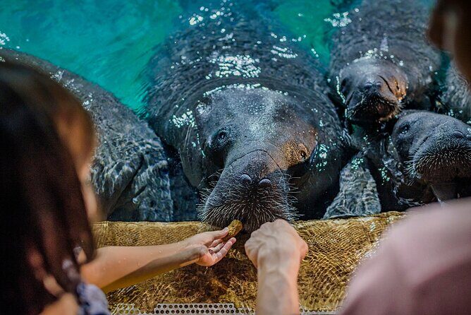 Singapore: River Wonders Entry Ticket - Who should book River Wonders (and who might want a different plan)
