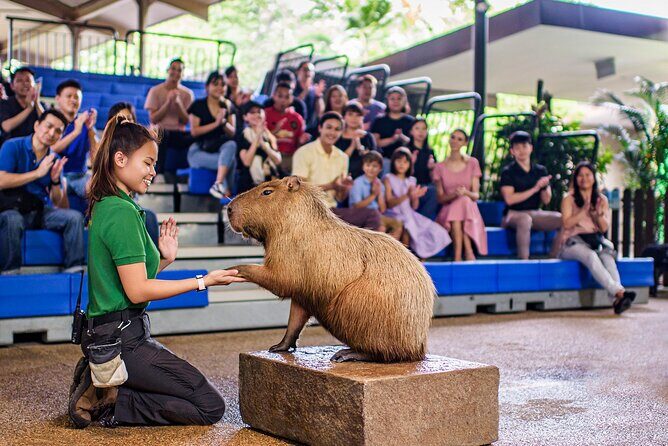 Singapore: River Wonders Entry Ticket - Should you book River Wonders entry?