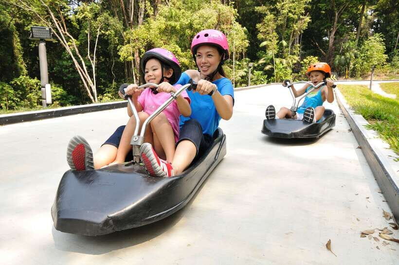Singapore: Skyline Luge Sentosa Entry Ticket - Key things to know before you go