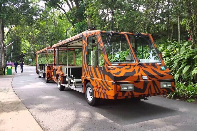 Singapore Zoo with Tram Ride Experience for Tourist - The 4–6 hour rhythm inside the zoo