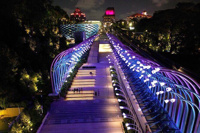 (Small Group) Starry Night Singapore Sentosa Tour - Highlights at a glance
